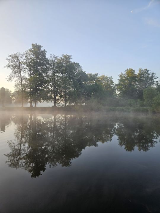 Otava v ranní mlze, pohled z pozemku