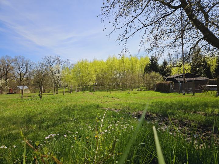Zahrada na jaře, pohled od studny